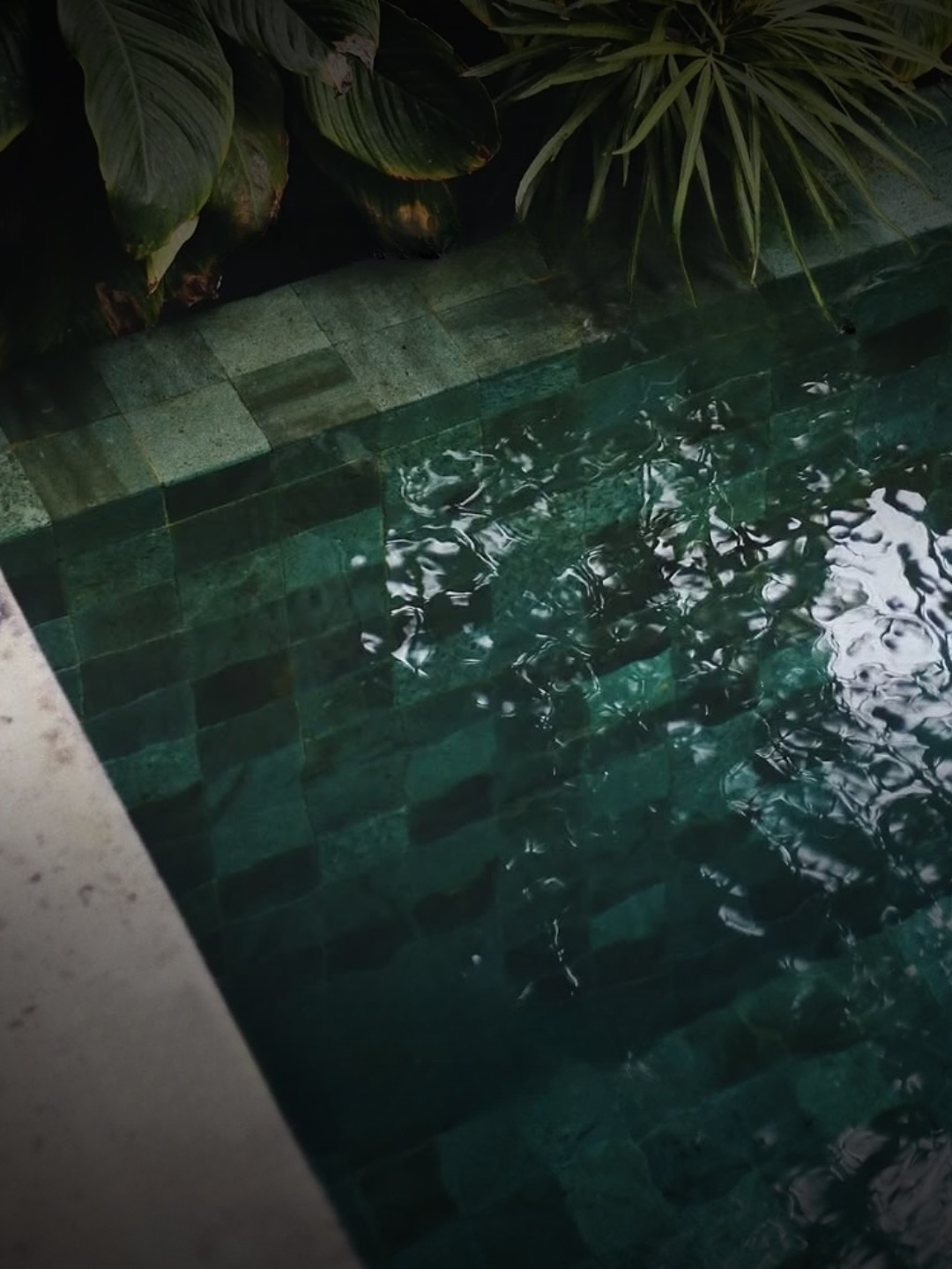 Porcelanato Cerro Negro 64x64 Piedra Bali Piscina