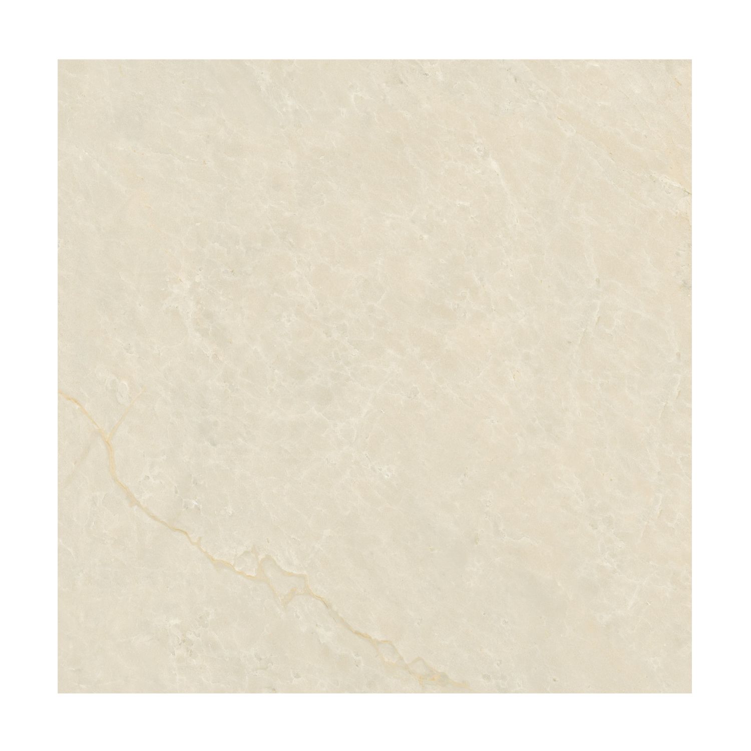 Porcelanato Natural Portinari 120x120 Avorio Gold